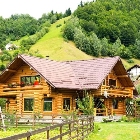 The Lodge Moieciu de Jos Exterior photo